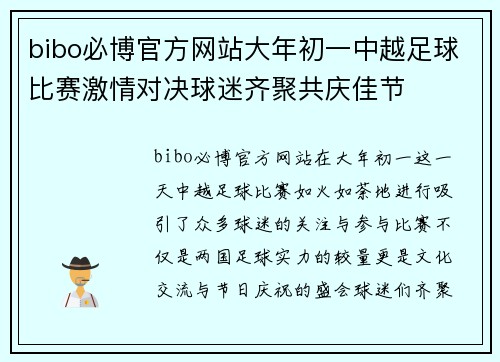 bibo必博官方网站大年初一中越足球比赛激情对决球迷齐聚共庆佳节