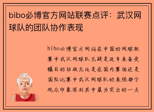 bibo必博官方网站联赛点评：武汉网球队的团队协作表现