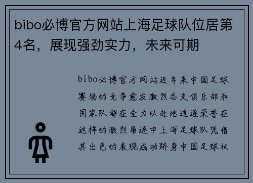 bibo必博官方网站上海足球队位居第4名，展现强劲实力，未来可期